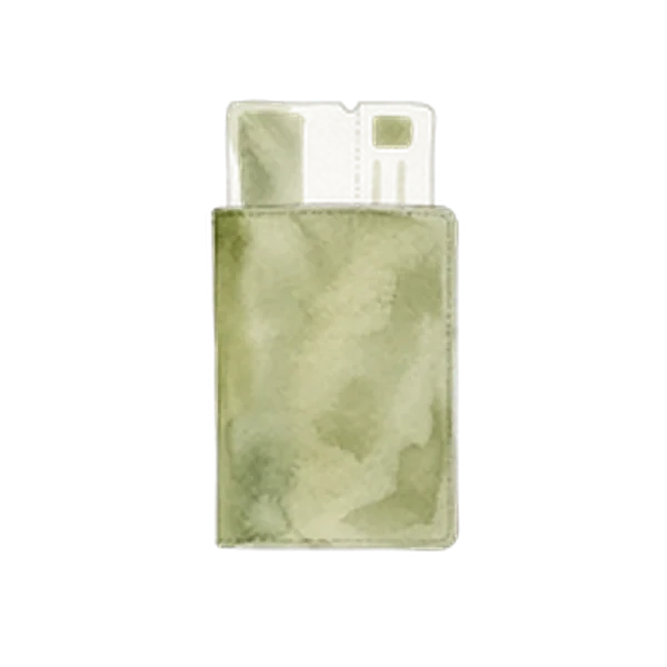 Aquarela de um passaporte